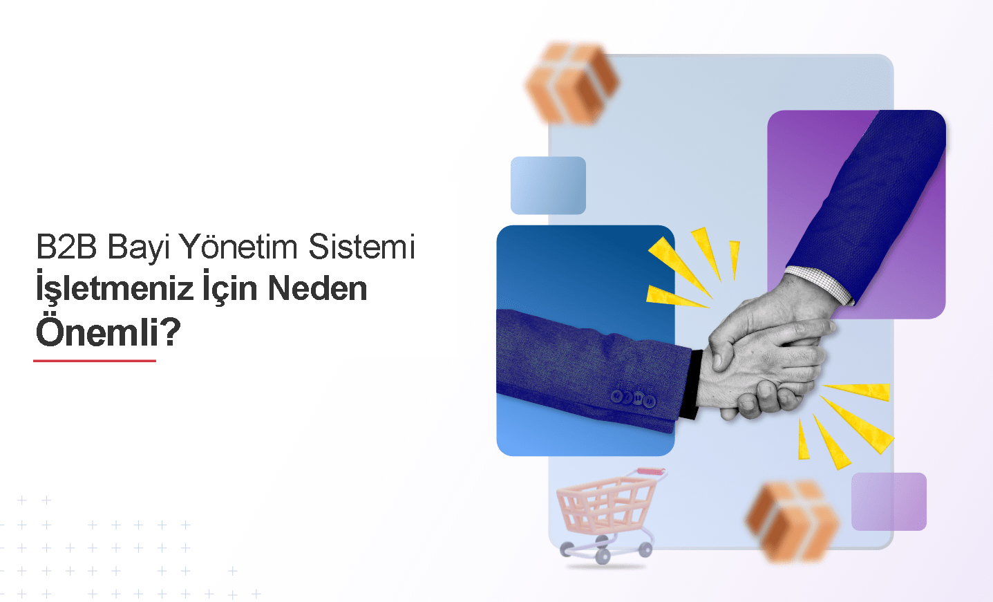 B2B Bayi Yönetim Sistemi