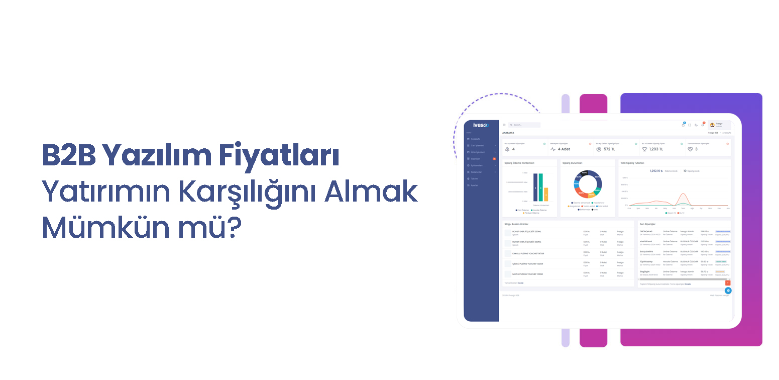 B2B Yazılım Fiyatları Ne Kadardır ?
