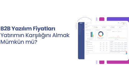 B2B Yazılım Fiyatları Ne Kadardır ?